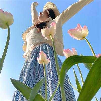 侠岚第六季