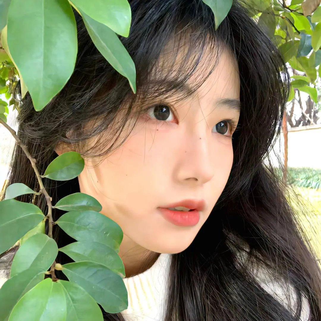 阿珠与阿花前传